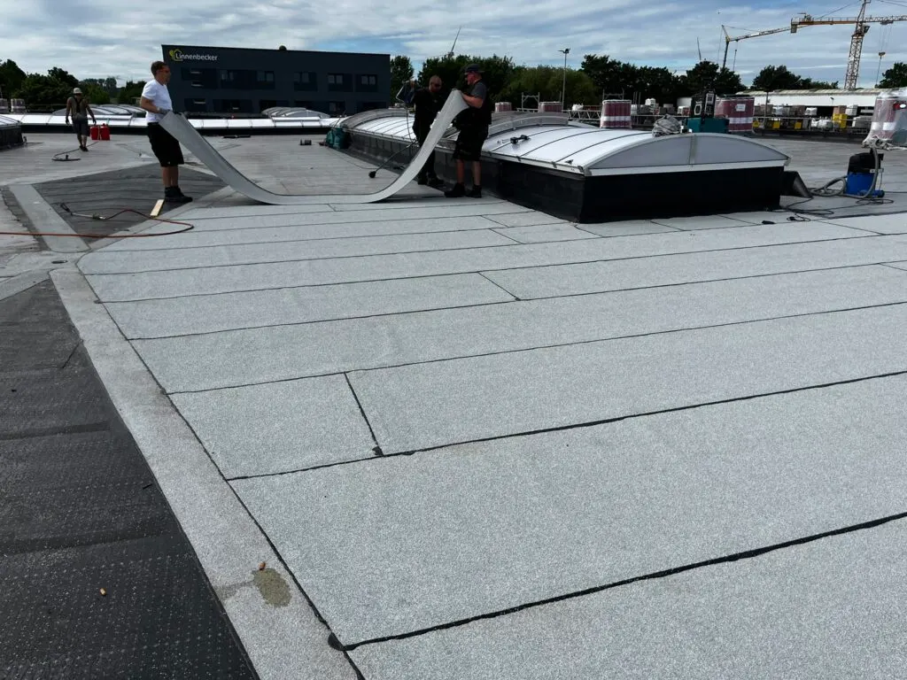 Dachsanierung Linnenbecker Greifswald 7